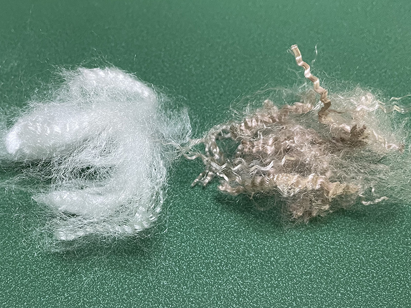 WechatIMG3544.jpg WechatIMG3544.jpg