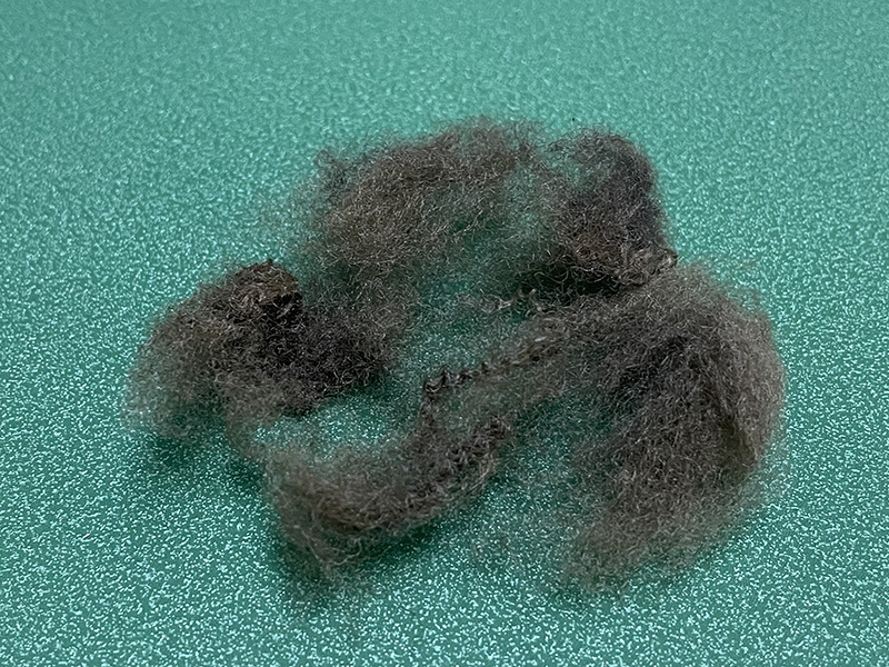 WechatIMG3542.jpg WechatIMG3542.jpg