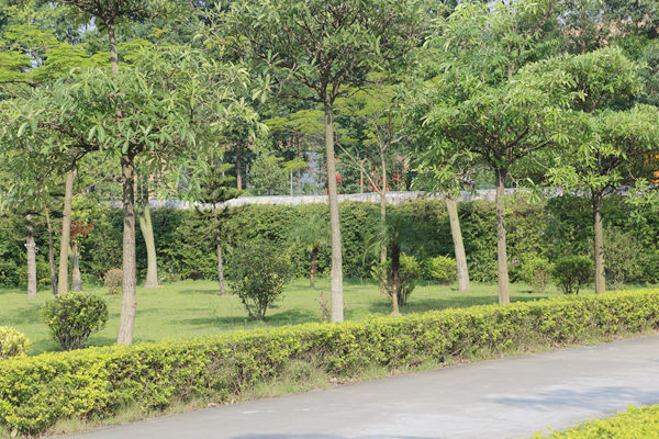 �w�����@ˇ���^(gu��n)