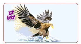 �������콨����(ji��)�����޹�˾