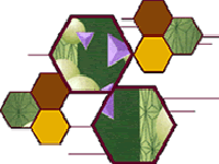 �������~�𠖻��W(xu��)���g(sh��)���޹�˾