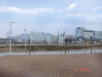 �㽭���_���A�V���S