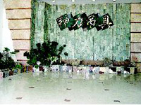 �P�������������������޹�˾