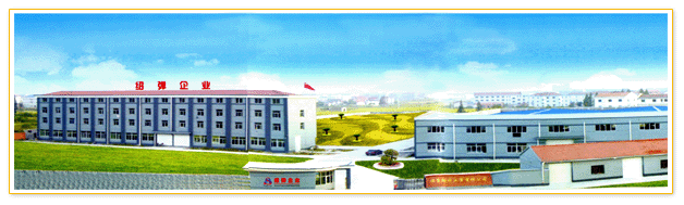 �T�߽B�����w���޹�˾