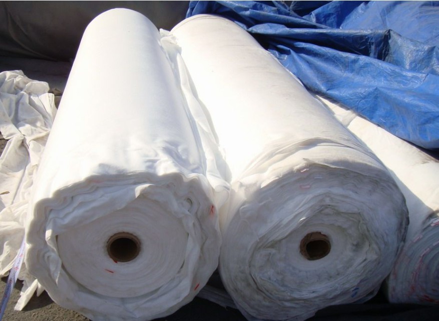 �����������o(w��)�������a(ch��n)�S