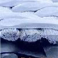 ���]�V�� 