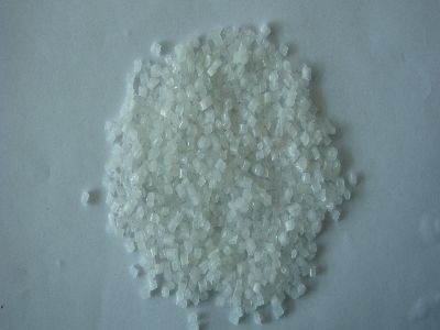 PP����ĸ��