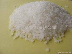 PP����ĸ��