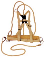 ����ȫ����