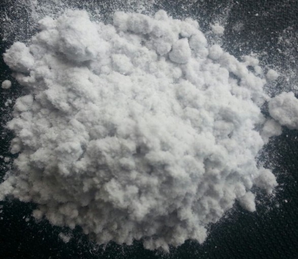 ľ�|���w�S