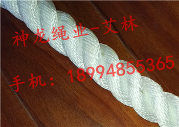 �����|�K/pp�K