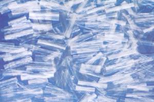 �۱�ϩ�W(w��ng)���w�S 