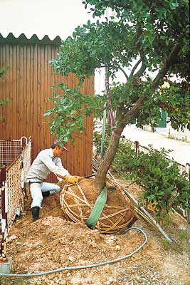 ���(sh��)����