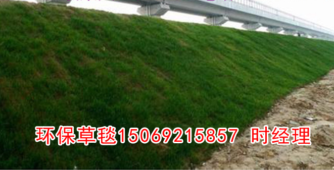 �h(hu��n)��ֲ��̺��(y��ng)�÷������h(hu��n)��ֲ��̺�S��