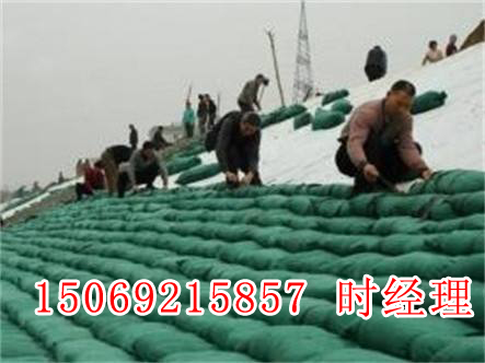 �h(hu��n)�����B(t��i)�o(h��)�´������B(t��i)����ֲ�������I(y��)���a(ch��n)�S��