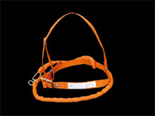 늹���ȫ��