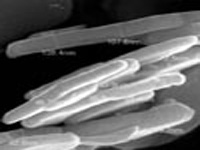 �o(w��)�C(j��)������