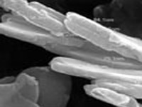 �o(w��)�C(j��)������