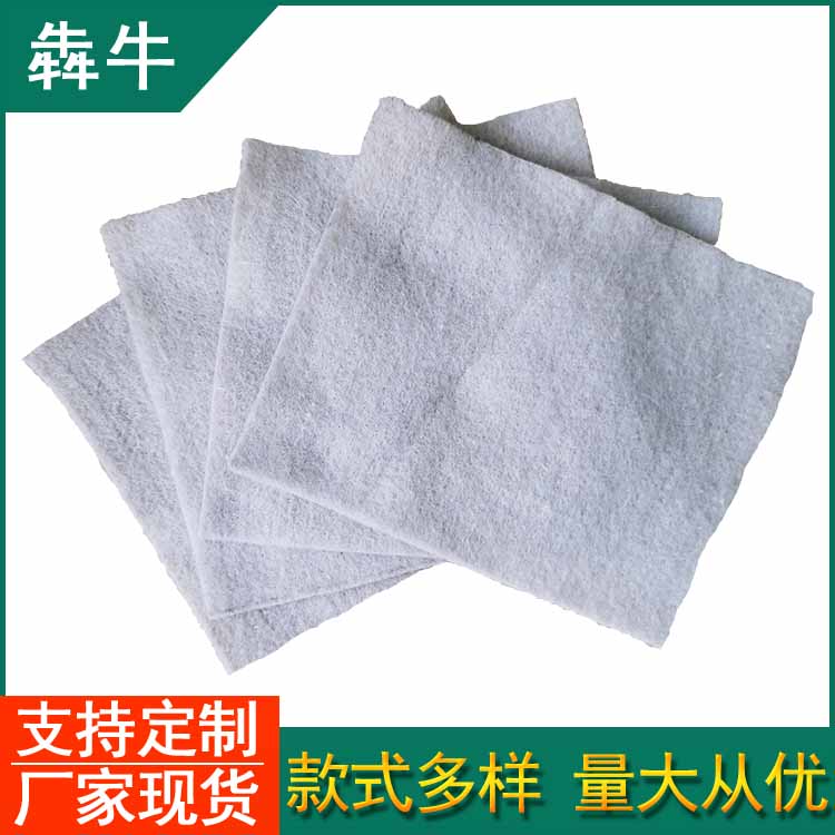 �����о����L�w�o��������