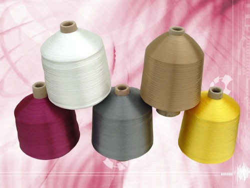 ����(y��ng)pp�z