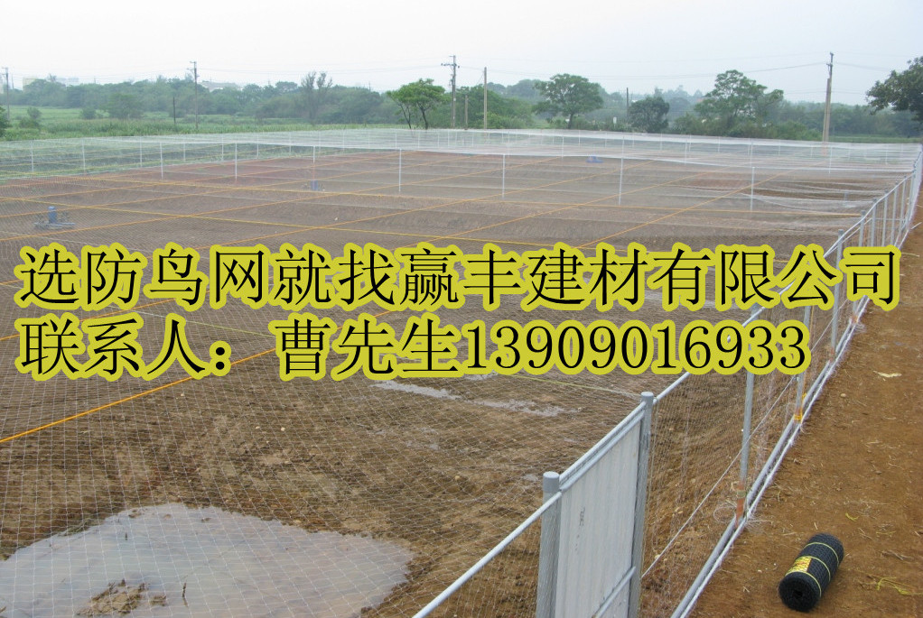 ����(y��ng)���B�W(w��ng)