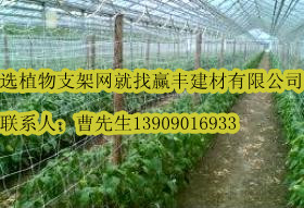 ����(y��ng)ֲ��֧�ܾW(w��ng)