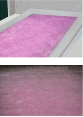 ԇ�o�����C