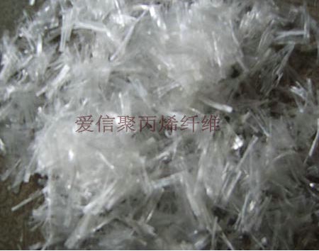 ɰ�{�þ۱�ϩ���w�S