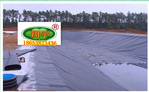 �����B(y��ng)ֳĤ��ɫ��Ĥ