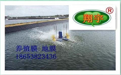 տ����ɫ��Ĥ�B(y��ng)ֳĤ