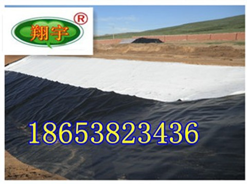 ���BĤ�S��