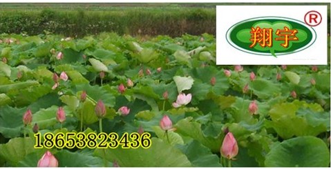 �����㽭ɏź����ɫ�w�S��ź�ط��B����Ĥ