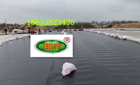 �~�rˮ�a(ch��n)�B(y��ng)ֳĤ���S�X�B(y��ng)ֳĤ