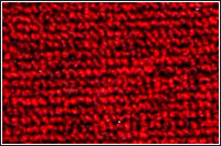 ���]�ؽq��̺