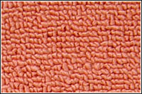 ���]�ؽq��̺