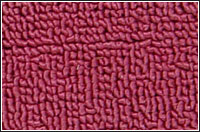 ���]�ؽq��̺