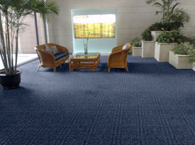 ���ݵ�̺ �k����(xi��)�֘ǵ�̺