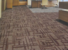 ���ݵ�̺��(b��o)�r(ji��) ���ȵ�̺