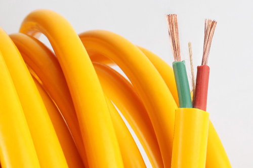 E1038��Sɫĸ��