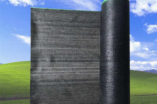 E0404��ɫĸ��