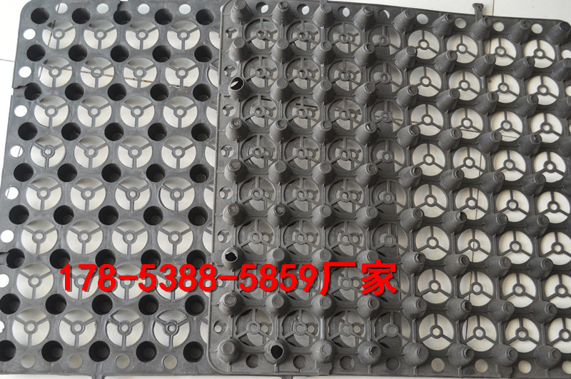 ���YӍ���ϵ����ҏ�(f��)����ˮ��S���N��