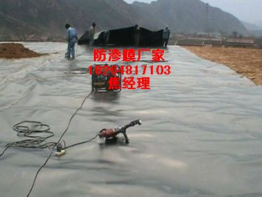 �Ϸ�������