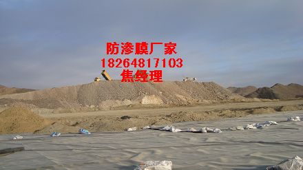 ����(y��ng)�~�����B©Ĥ%�������BĤ�����z