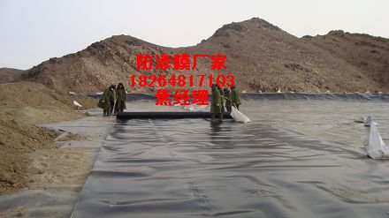 �����������Ĥ|����ϩ���BĤ�S��