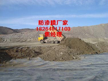 ����(y��ng)�˹��� ������ ���B©����Ĥ