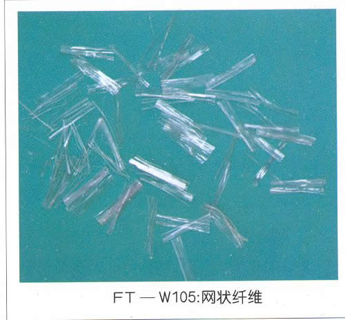 �����w�S