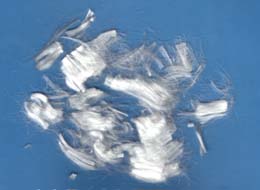 �����w�S