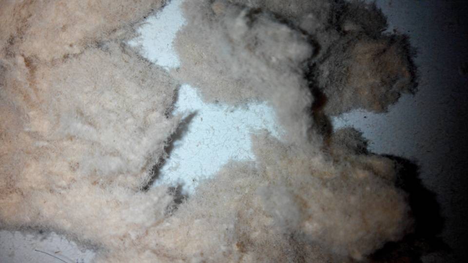 ľ�|(zh��)���w�S