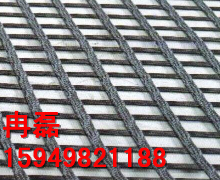 �p���w������� 