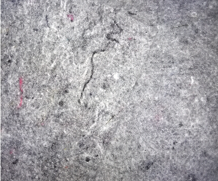 ᘴ̟o(w��)����  